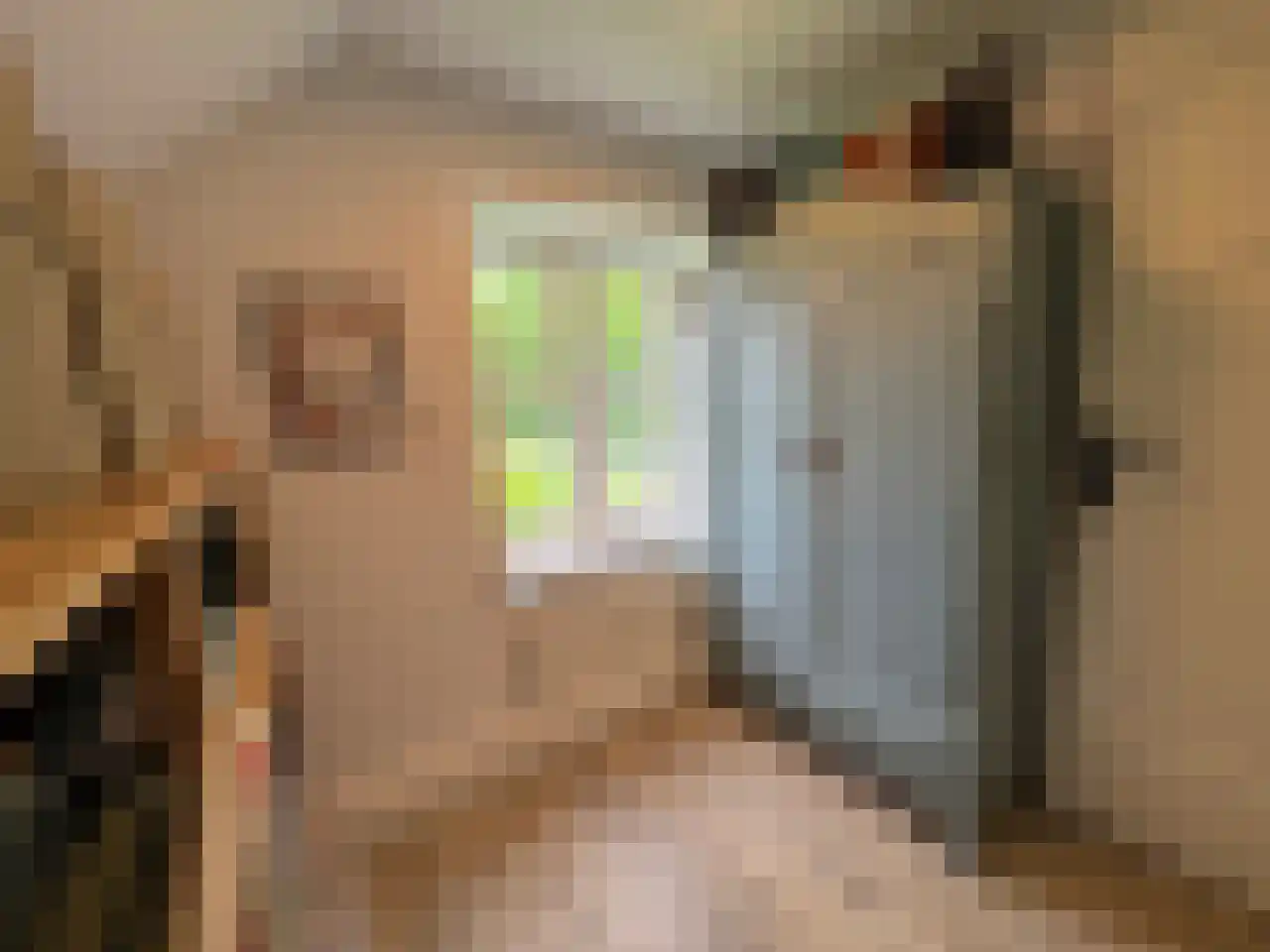 Pauwstraat 6 Mill thumbnail 21