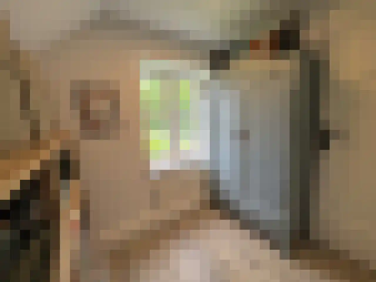 Pauwstraat 6 Mill thumbnail 21