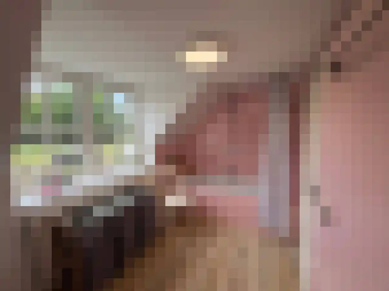 Pauwstraat 6 Mill thumbnail 23