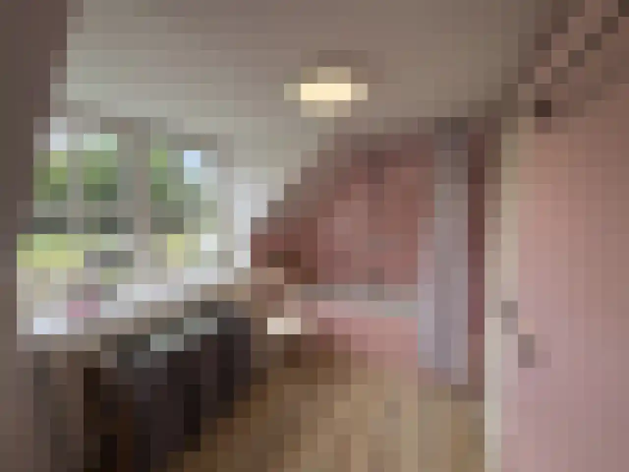 Pauwstraat 6 Mill thumbnail 23