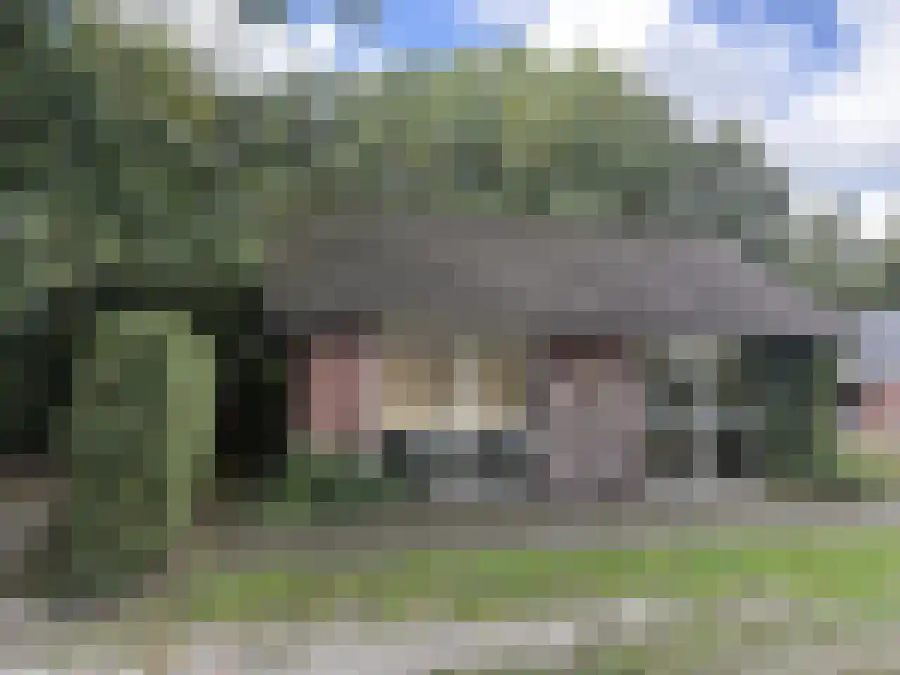 Pauwstraat 6 Mill thumbnail 25