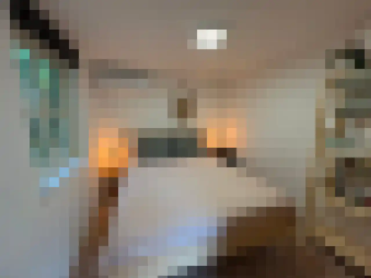Pauwstraat 6 Mill thumbnail 30