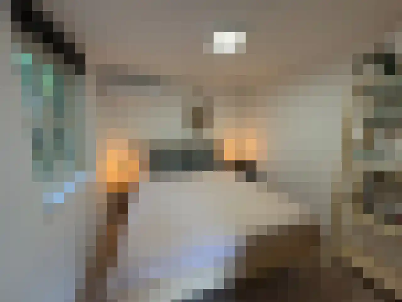 Pauwstraat 6 Mill thumbnail 30
