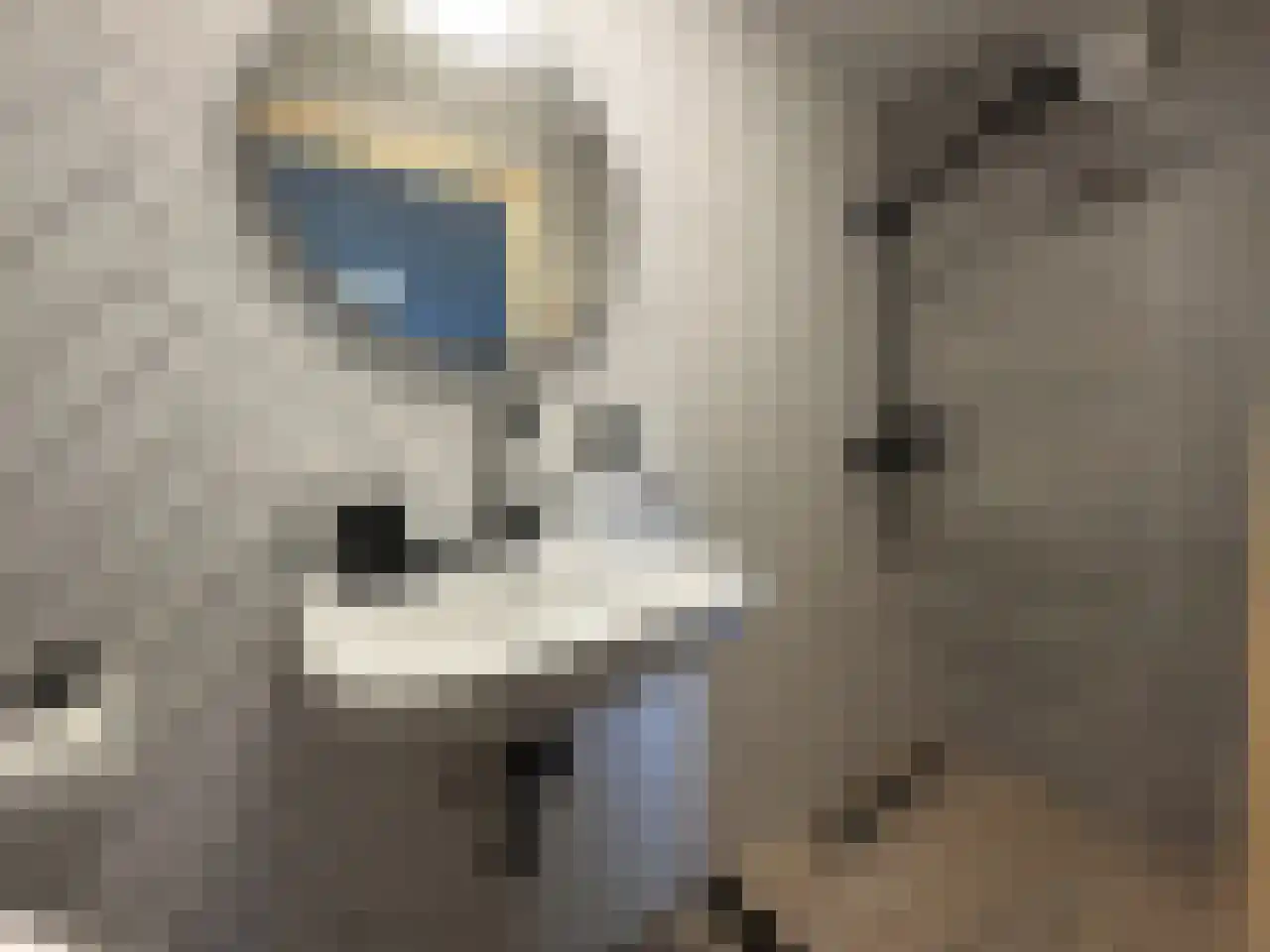 Pauwstraat 6 Mill thumbnail 31