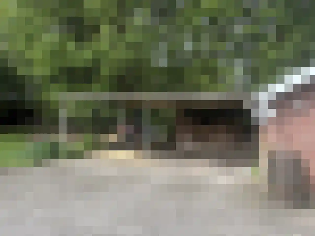 Pauwstraat 6 Mill thumbnail 34