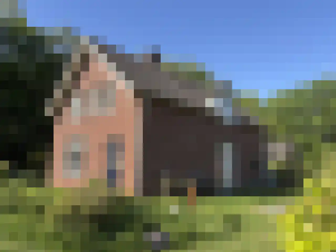 Pauwstraat 6 Mill thumbnail 4