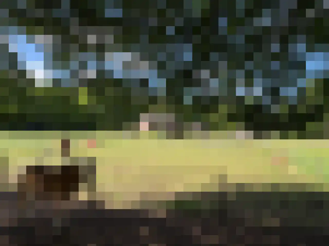 Pauwstraat 6 Mill thumbnail 42