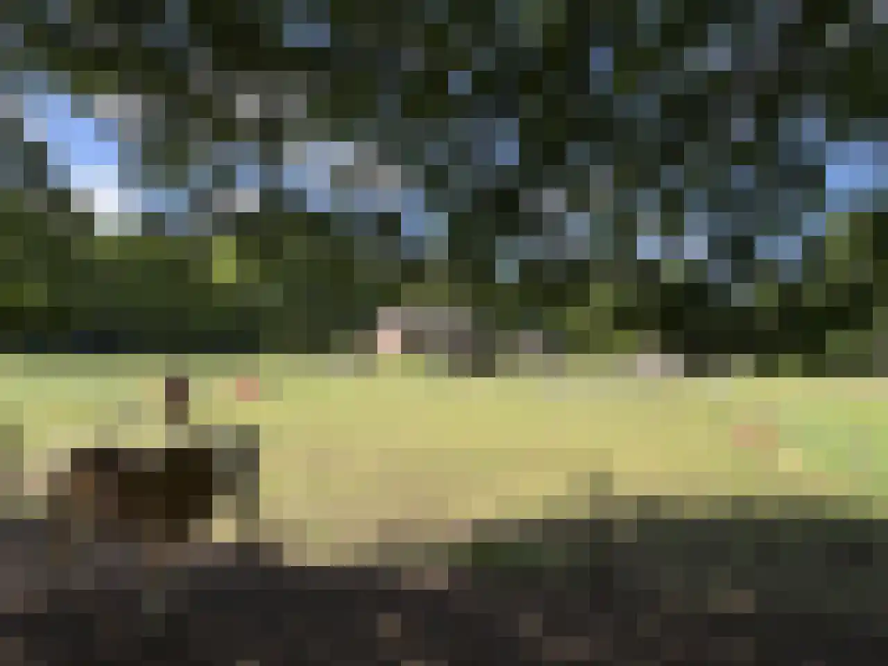 Pauwstraat 6 Mill thumbnail 42