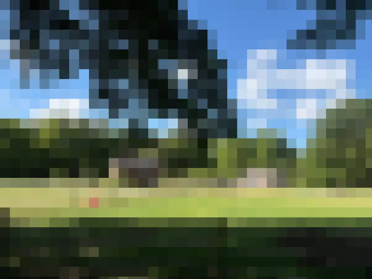Pauwstraat 6 Mill thumbnail 43