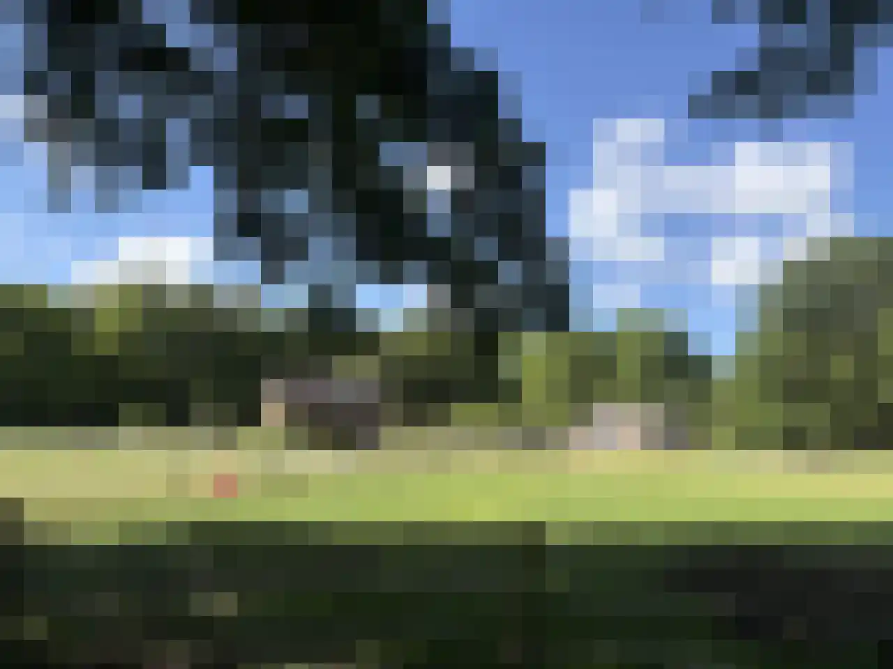 Pauwstraat 6 Mill thumbnail 43