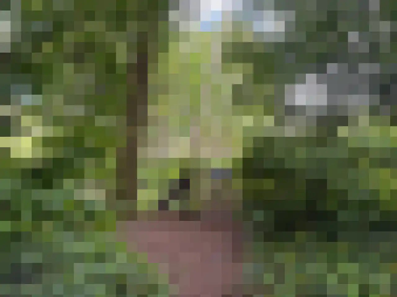 Pauwstraat 6 Mill thumbnail 45