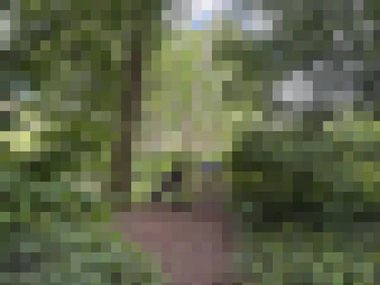 Pauwstraat 6 Mill thumbnail 45
