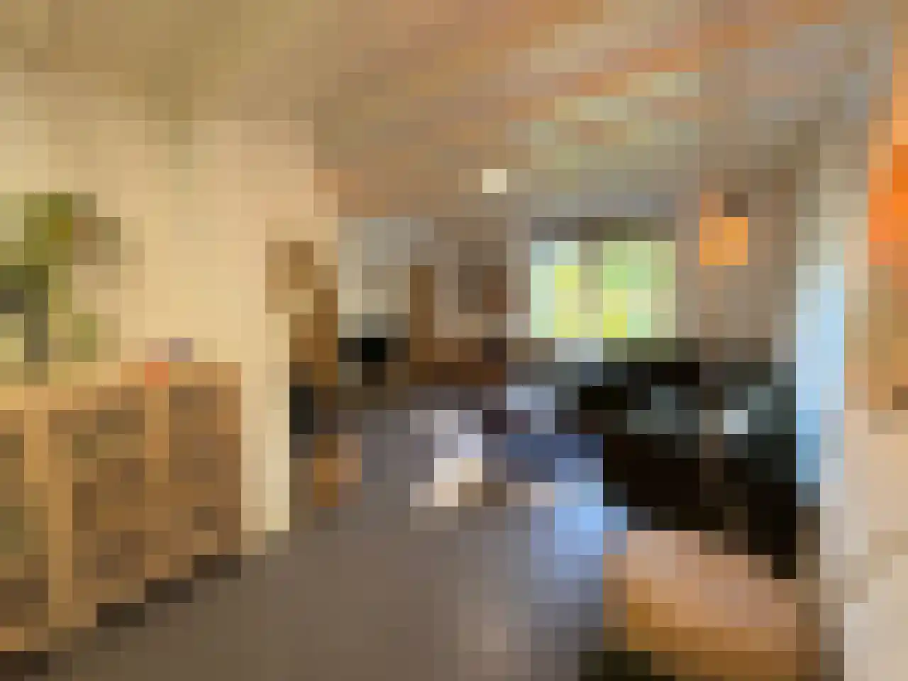 Pauwstraat 6 Mill thumbnail 7