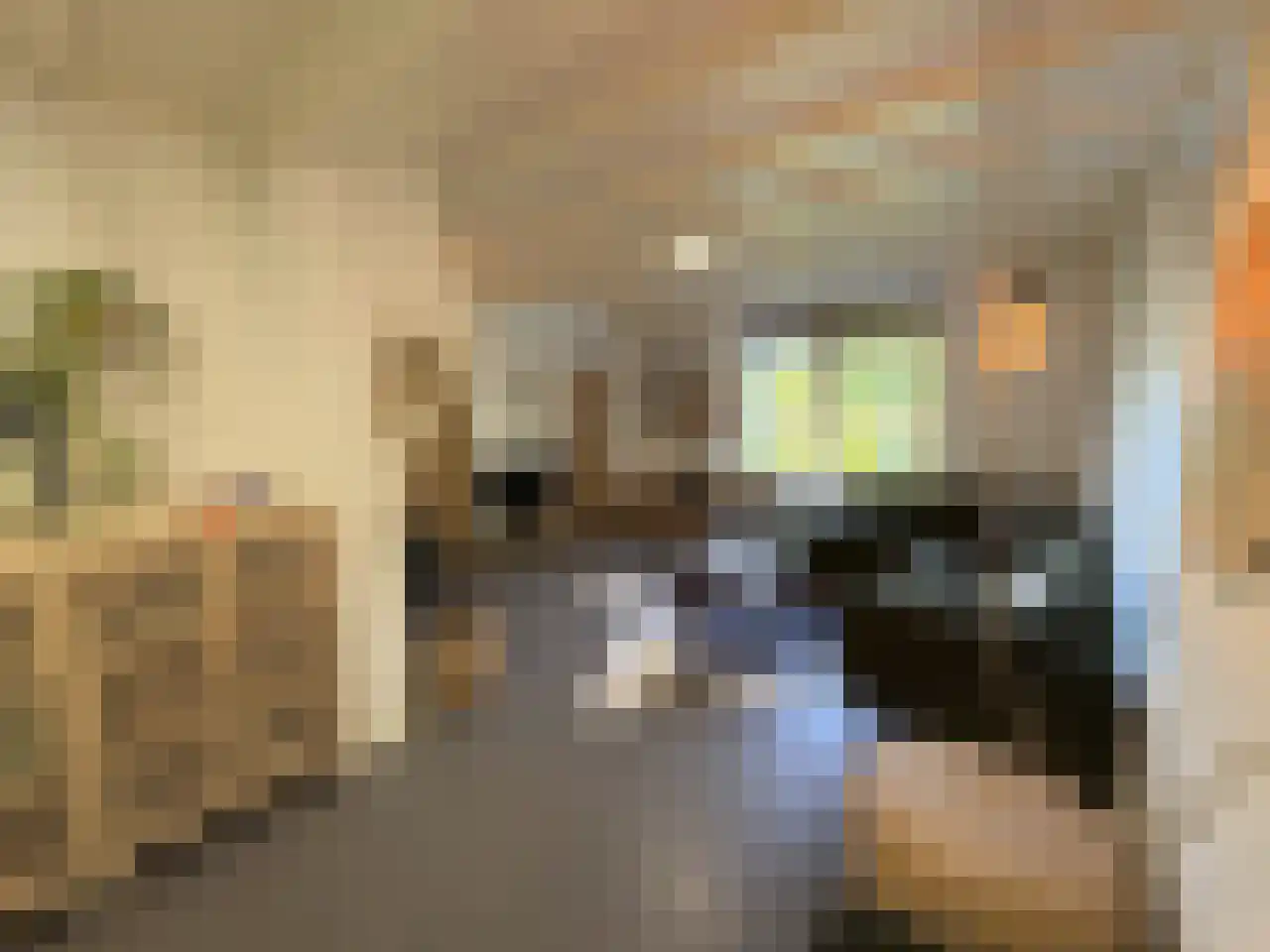 Pauwstraat 6 Mill thumbnail 7