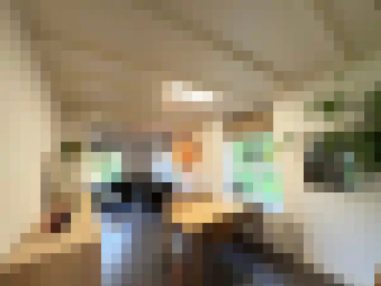 Pauwstraat 6 Mill thumbnail 8