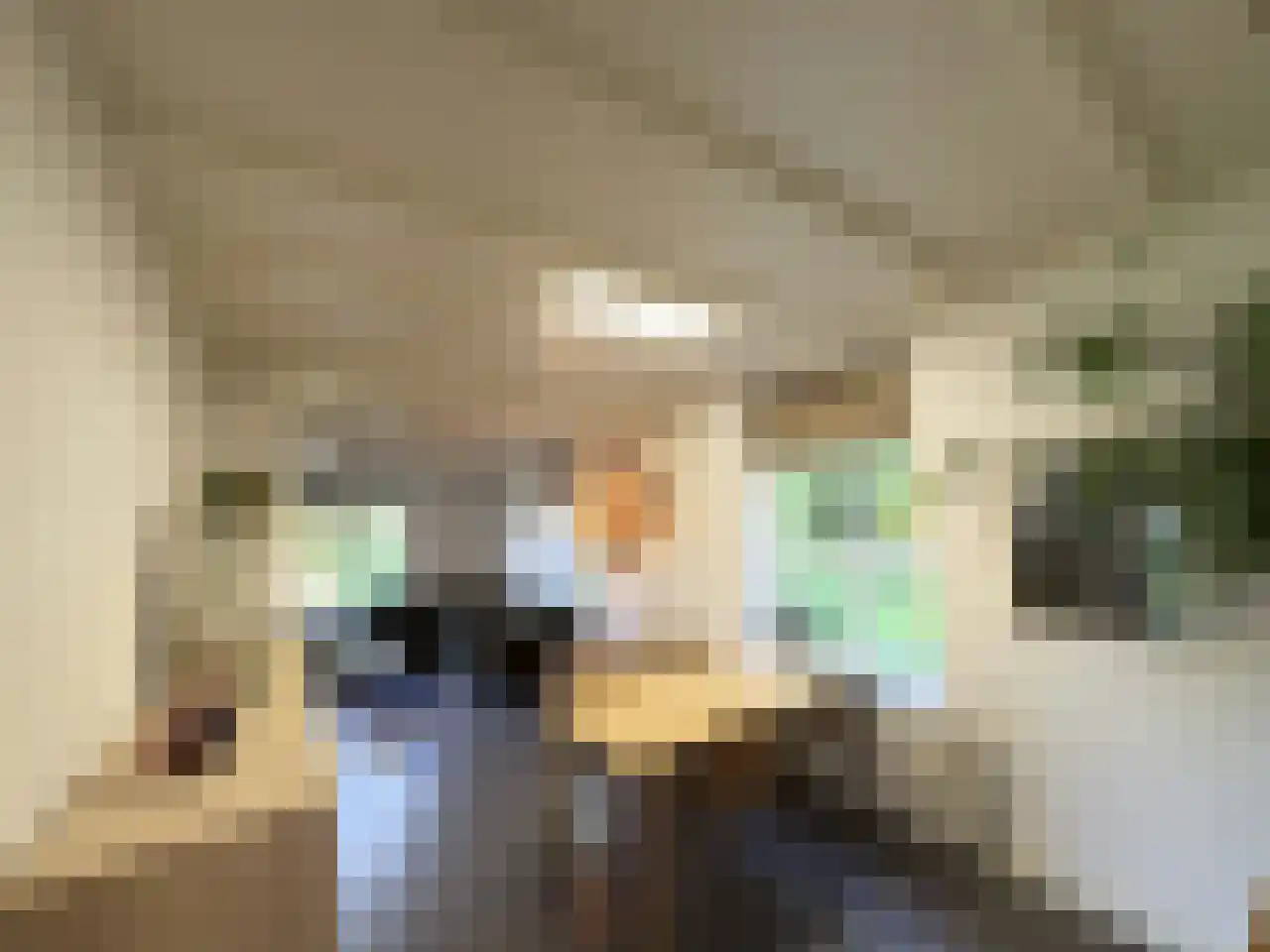 Pauwstraat 6 Mill thumbnail 8