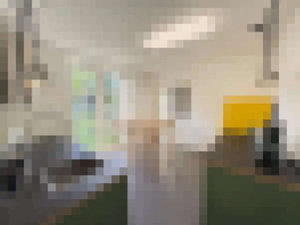 Pauwstraat 6 Mill thumbnail 9