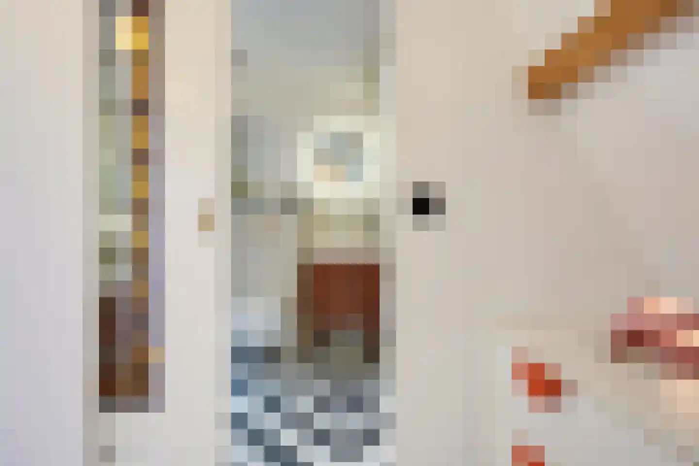 Pauwstraat 6 Utrecht thumbnail 33