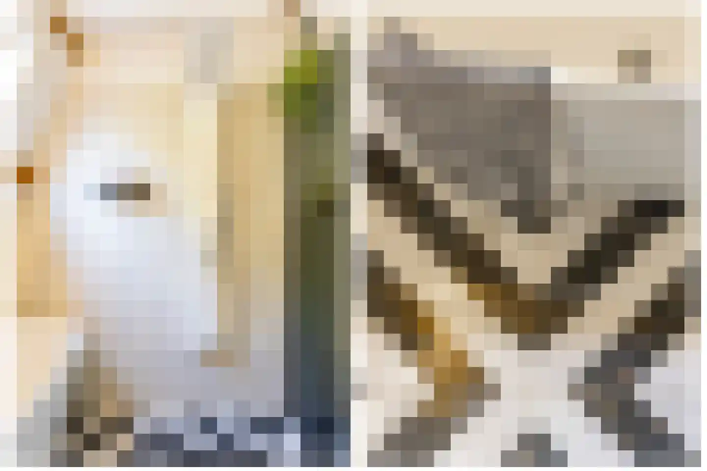Pauwstraat 6 Utrecht thumbnail 37