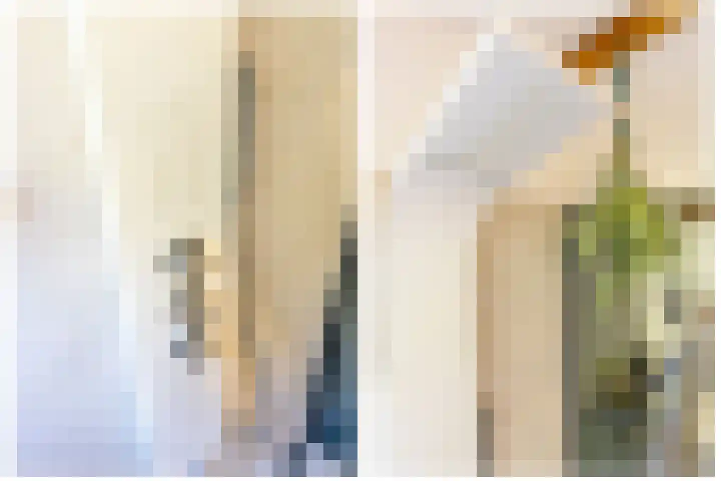 Pauwstraat 6 Utrecht thumbnail 38