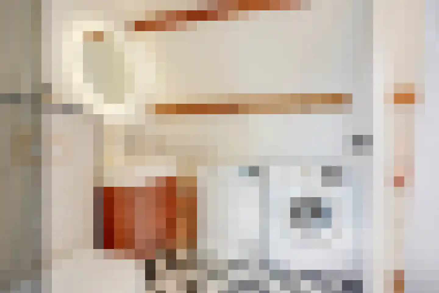 Pauwstraat 6 Utrecht thumbnail 39