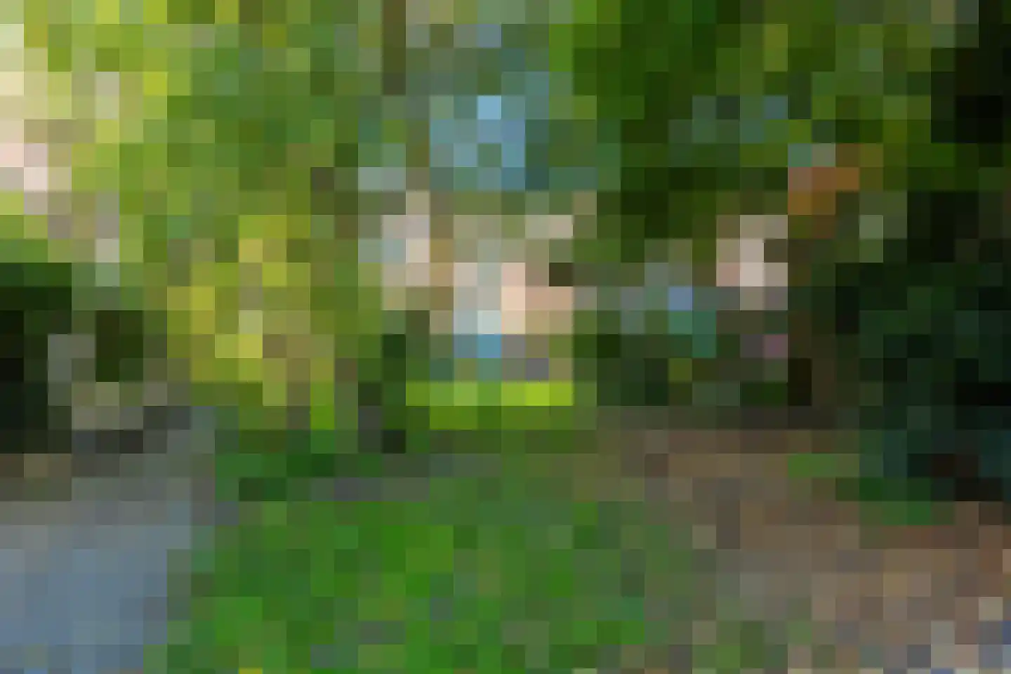 Pauwstraat 6 Utrecht thumbnail 4