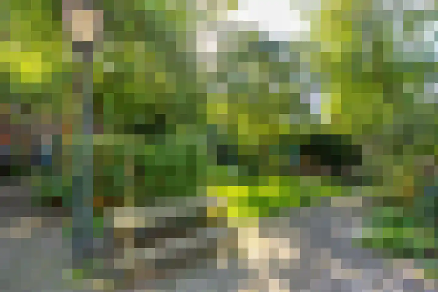 Pauwstraat 6 Utrecht thumbnail 45