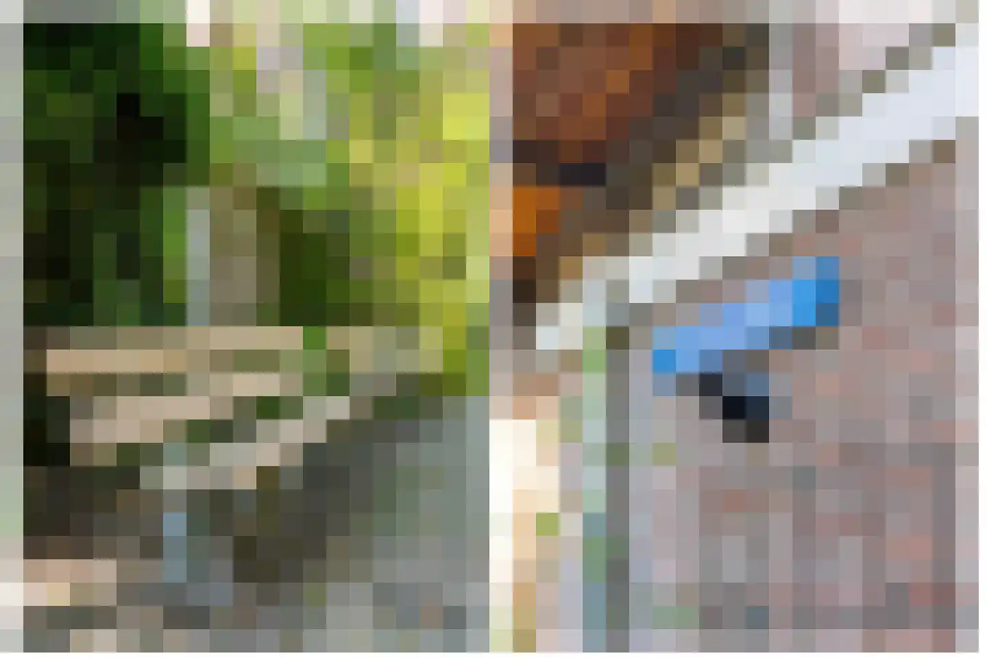 Pauwstraat 6 Utrecht thumbnail 46