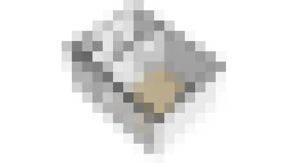 Pauwstraat 6 Utrecht thumbnail 53