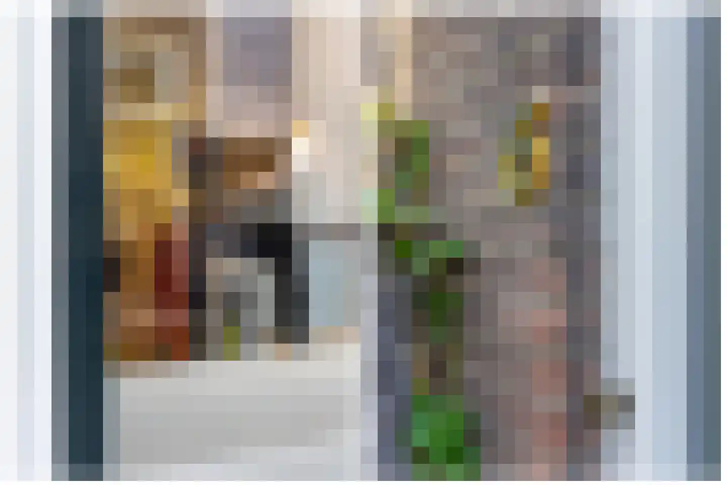 Pauwstraat 6 Utrecht thumbnail 6