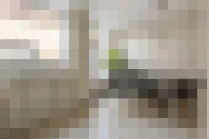 Pauwstraat 7 Voorburg thumbnail 10