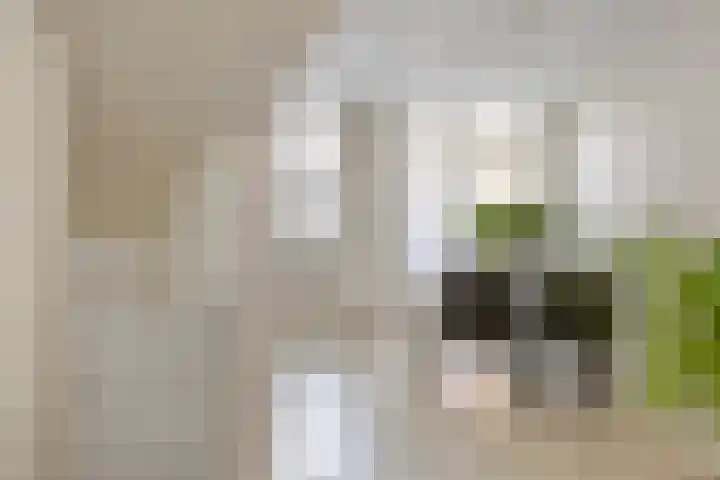 Pauwstraat 7 Voorburg thumbnail 8