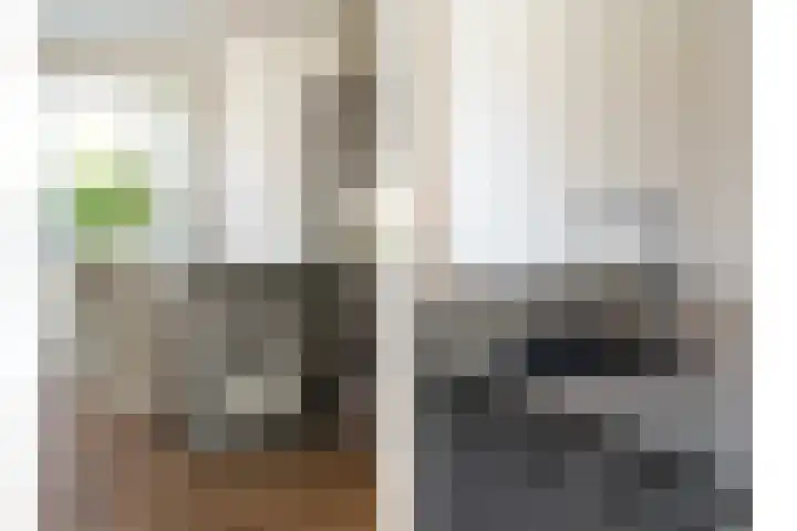 Pauwstraat 8 Breda thumbnail 31