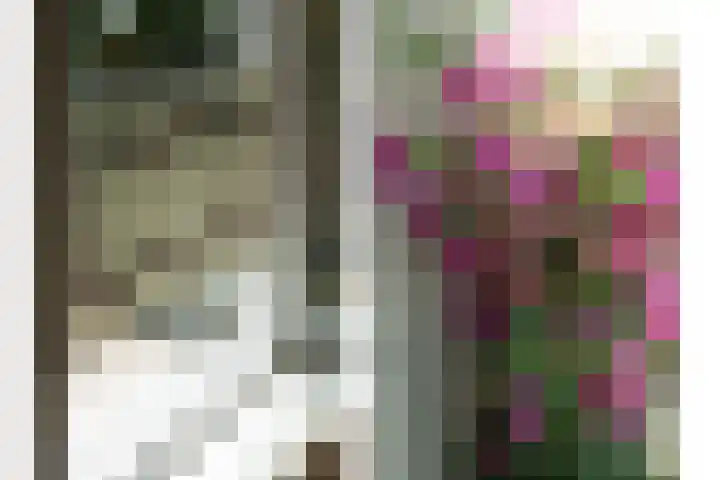 Pauwstraat 8 Breda thumbnail 32