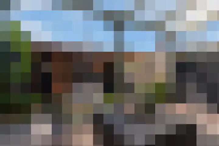 Pauwtjesmolen 11 Hardinxveld-Giessendam thumbnail 31