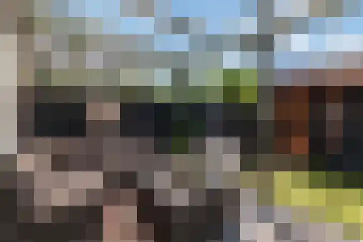Pauwtjesmolen 11 Hardinxveld-Giessendam thumbnail 32