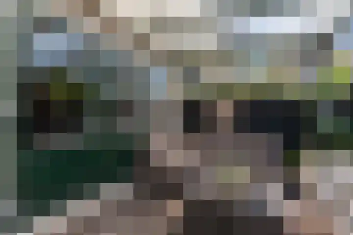 Pauwtjesmolen 11 Hardinxveld-Giessendam thumbnail 33