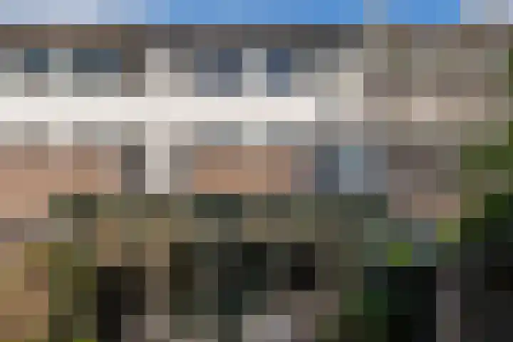 Pauwtjesmolen 11 Hardinxveld-Giessendam thumbnail 34