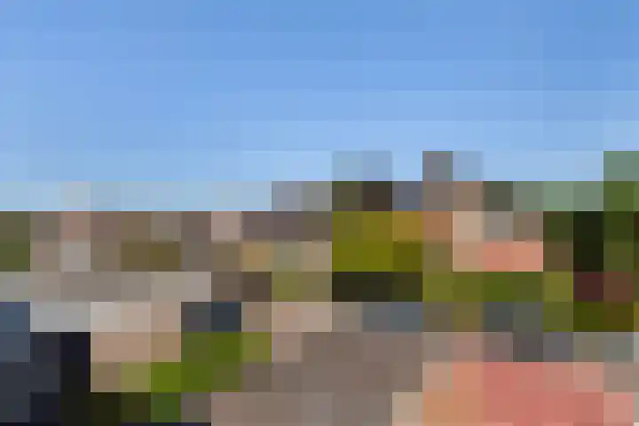 Pauwtjesmolen 11 Hardinxveld-Giessendam thumbnail 35