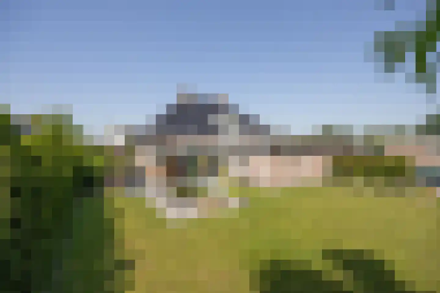 Pavana 10 St. Willebrord thumbnail 4