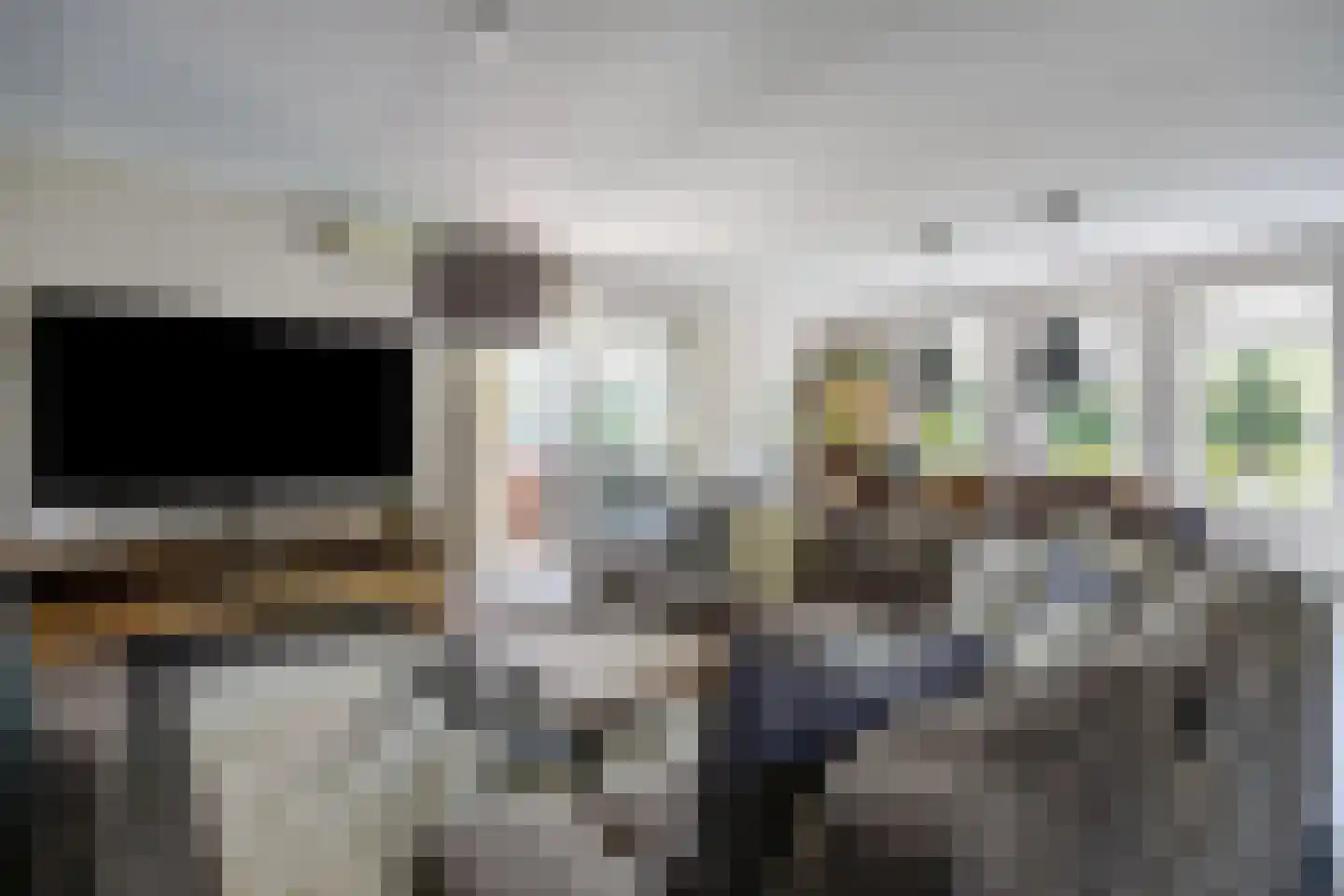 Pavana 10 St. Willebrord thumbnail 8