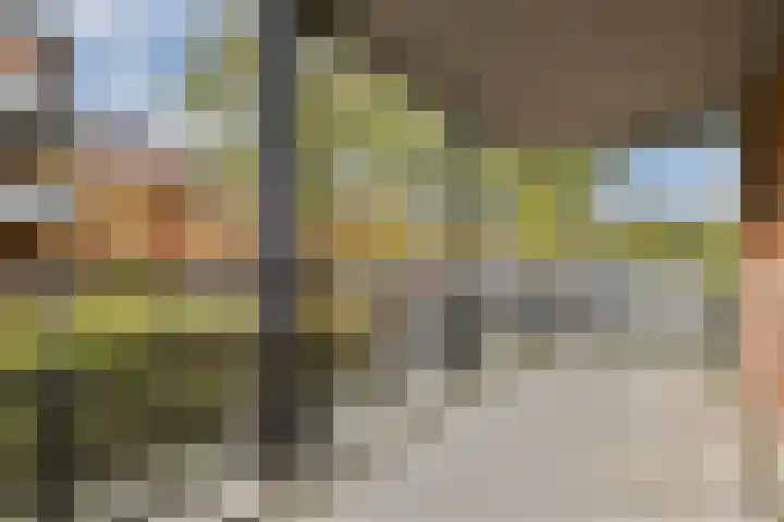 Pavane 2 Nieuw-Vennep thumbnail 13