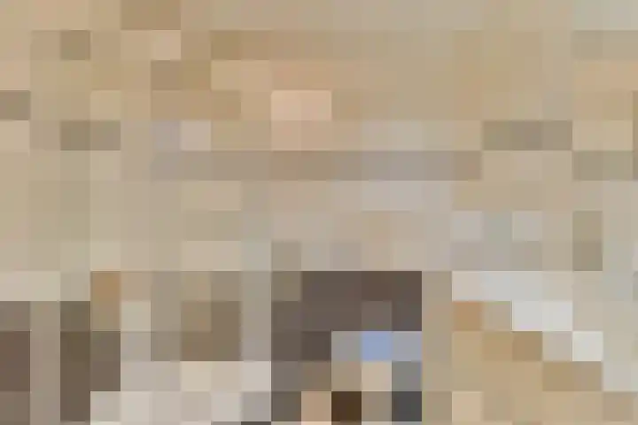 Pavane 2 Nieuw-Vennep thumbnail 15