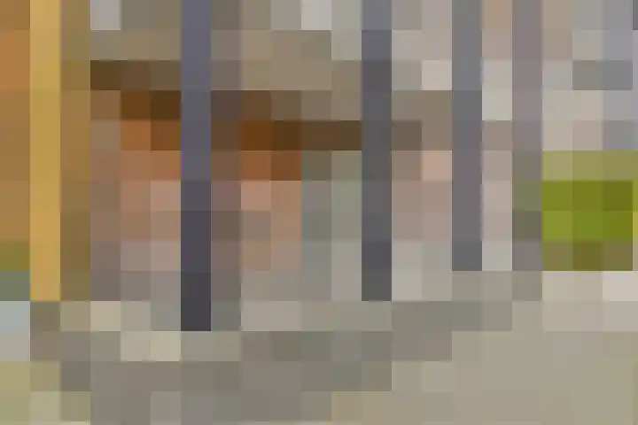 Pavane 2 Nieuw-Vennep thumbnail 19