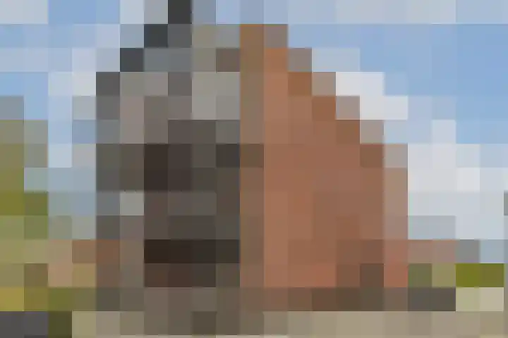 Pavane 2 Nieuw-Vennep thumbnail 4