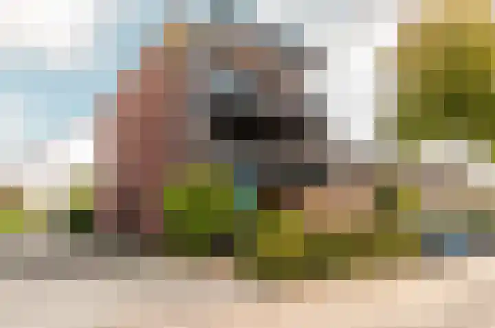Pavane 3 Nieuw-Vennep thumbnail 6