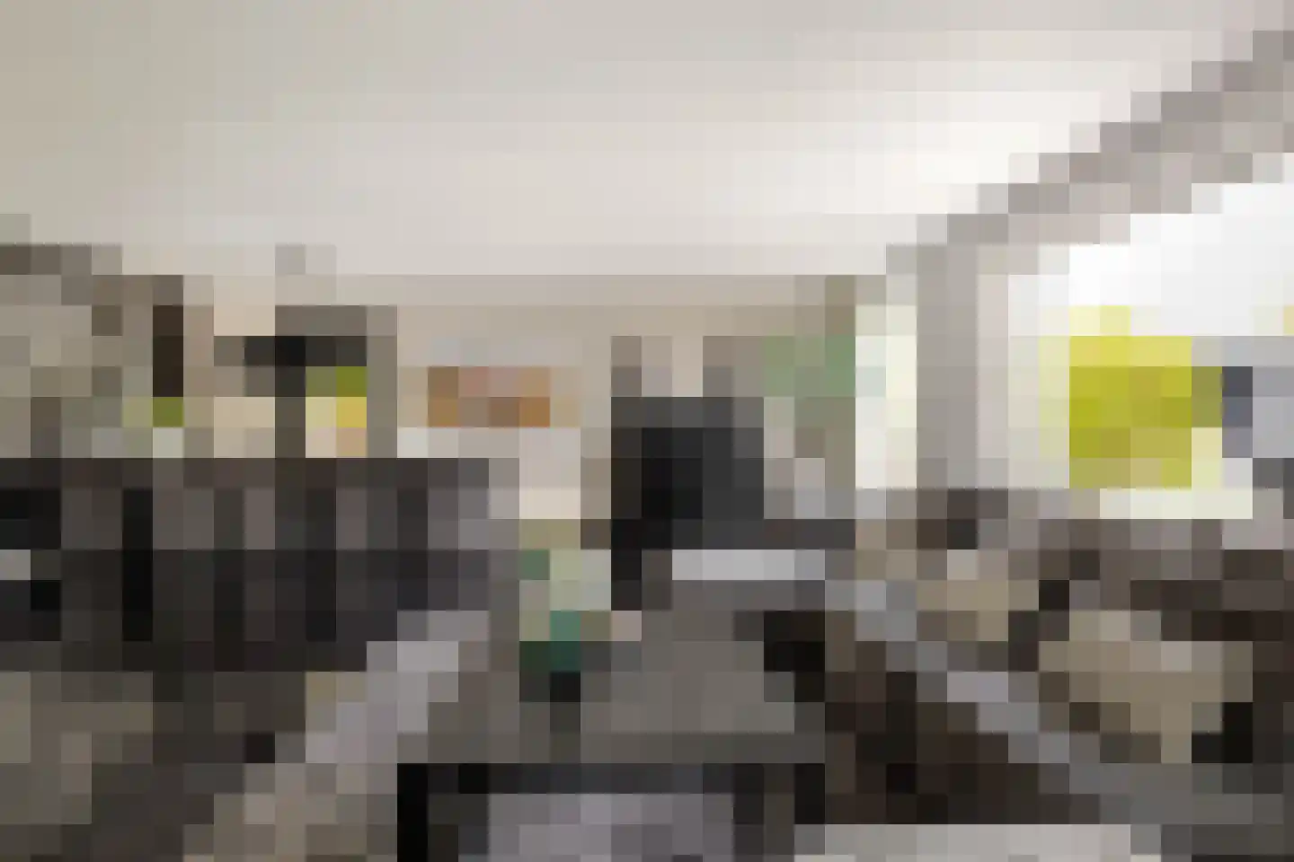 Pavane 8 Nieuw-Vennep thumbnail 11