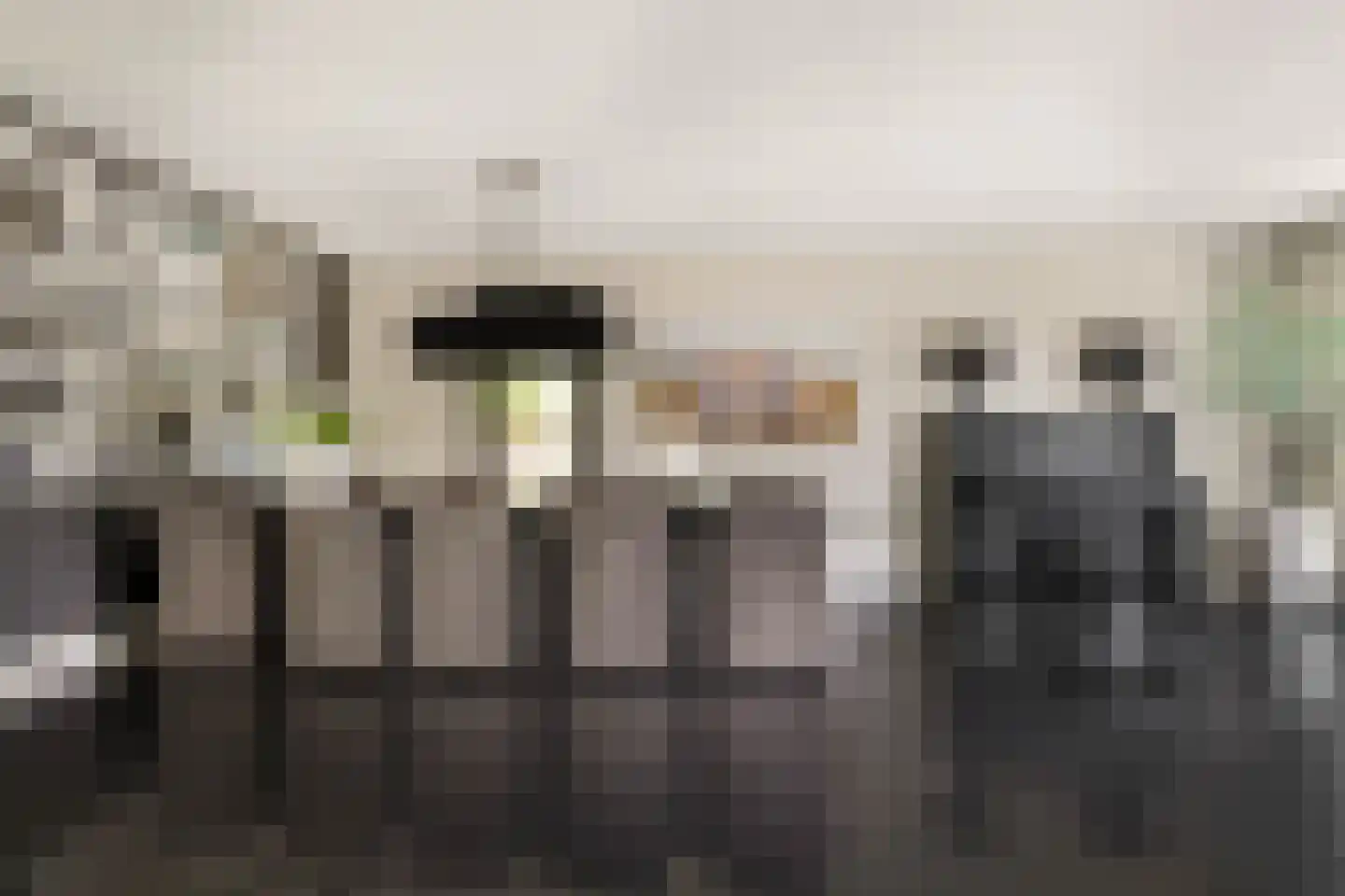 Pavane 8 Nieuw-Vennep thumbnail 13