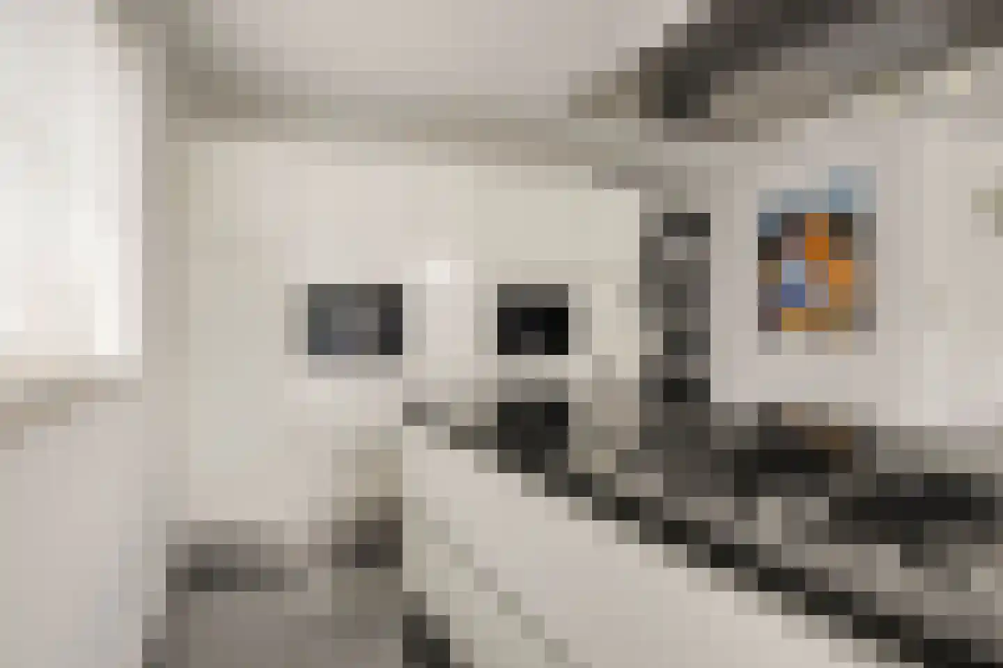 Pavane 8 Nieuw-Vennep thumbnail 19