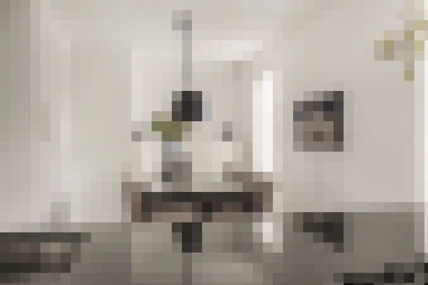 Pavane 8 Nieuw-Vennep thumbnail 20